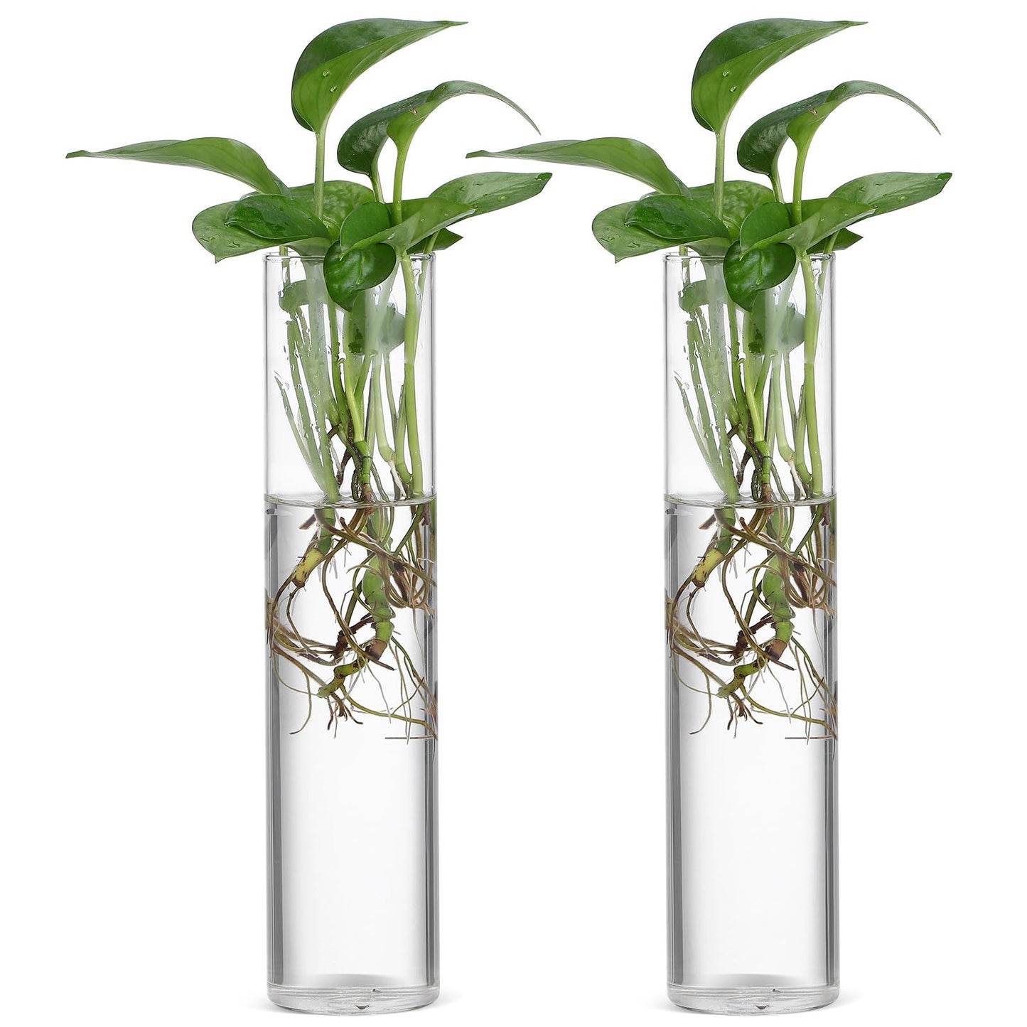 Healeved Wall Hanging Cylinder Glass Vase Set, 2pcs Large Tube Propagation Station for Indoor Plants, Modern Hydroponic Plant Holder, Decorative Terrarium Wall Planter