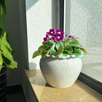 Lovely Ran African Violet Flower Pot Ceramic Self Watering Flower Pot 6.5 * 4.6 * 4 inch Simple Plant Self Watering Pot Indoor Flowers High Absorption Herbaceous Flower Pots Modern Decor Pots