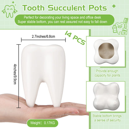 Tooth Shaped Flower Pot Dental Pots Ceramic Modern Style Teeth Pots White Cactus Bonsai Planter Container Small Cute Succulent Plant Pot for Dentists Gift Home Office Decoration, 3.9 Inch (14 Pcs)