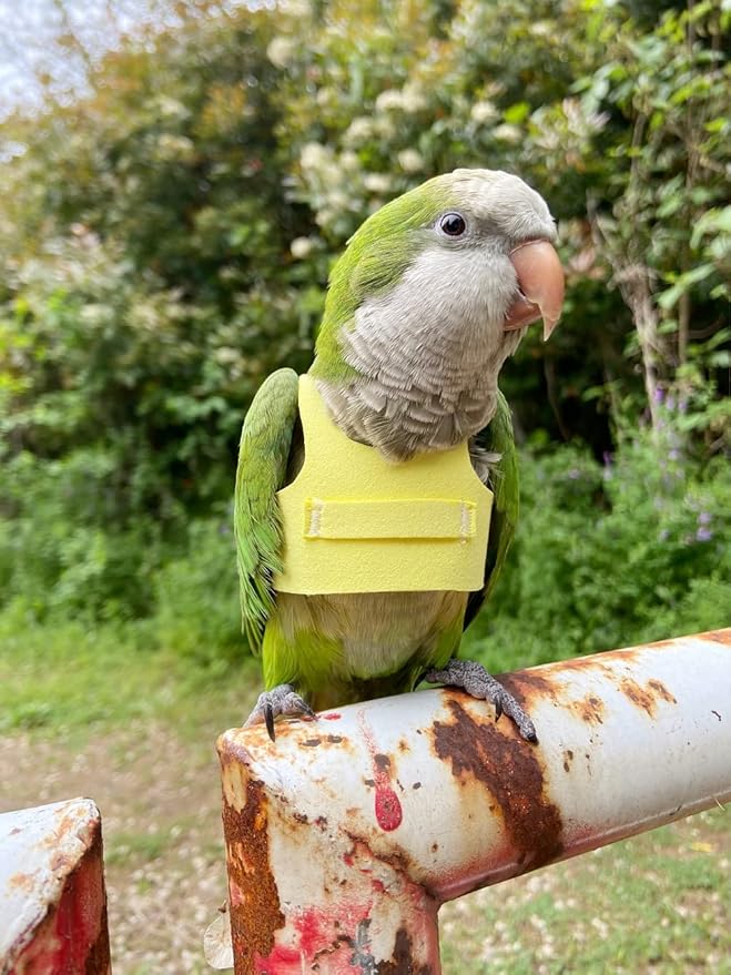 Bird Flight Harness Vest Parrot Flight Suit with Leash for Parakeets Cockatiels Conures Budgies, Bird Flying Clothes with Rope and Handle for Outdoor Activities Training (L,Yellow)
