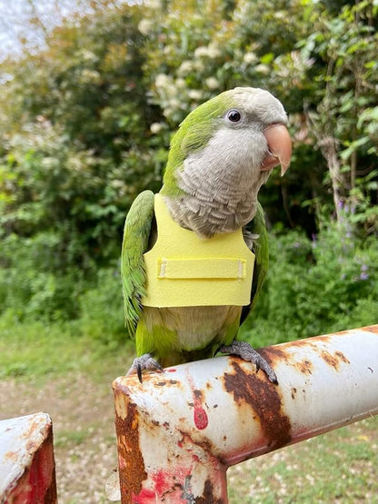 Bird Flight Harness Vest Parrot Flight Suit with Leash for Parakeets Cockatiels Conures Budgies, Bird Flying Clothes with Rope and Handle for Outdoor Activities Training (L,Yellow)