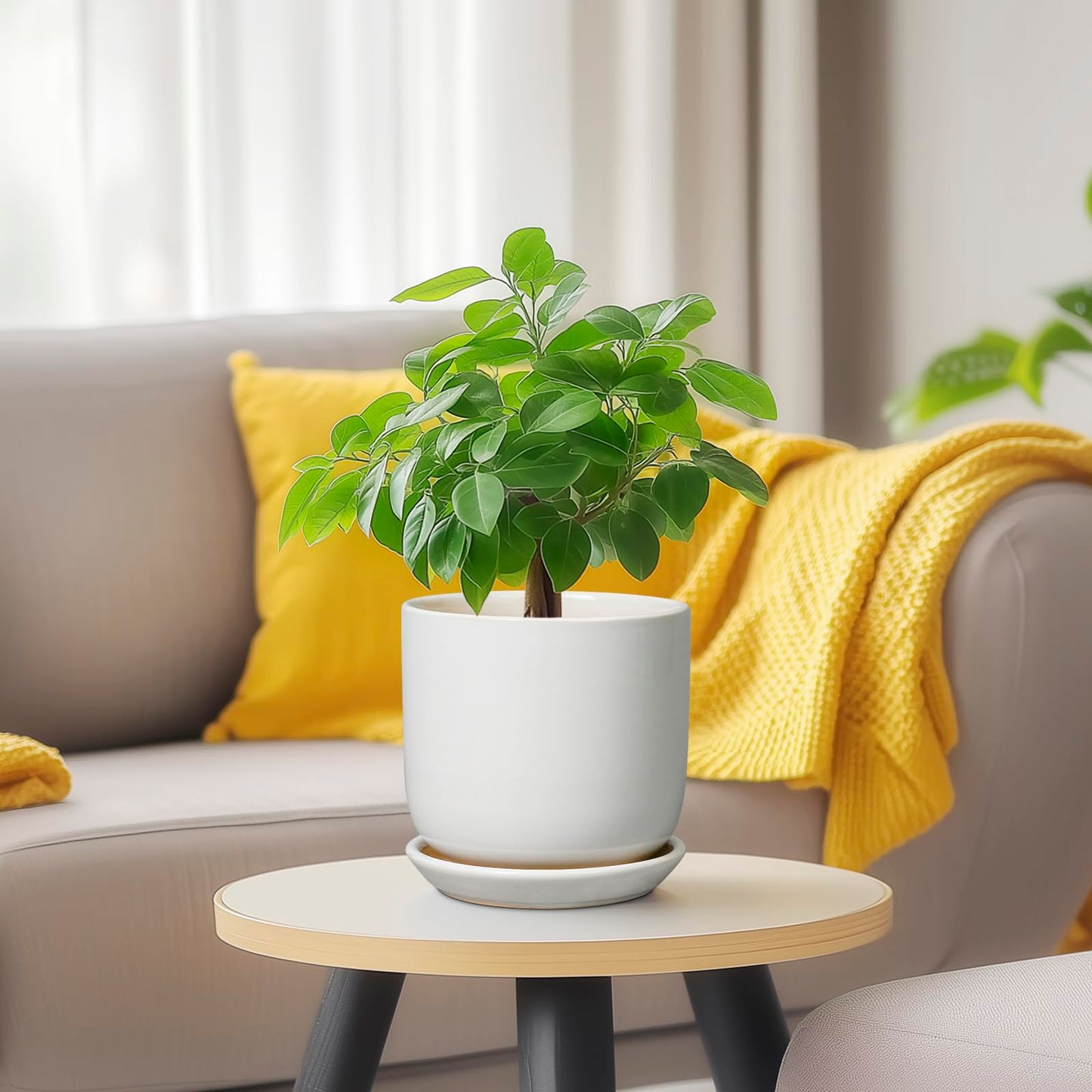 SUNPOTFOR Indoor Plant Pot 5 Inch - Round Ceramic Planter for Succulent Plants with Drainage Hole and Saucer, Modern Home Decor, White