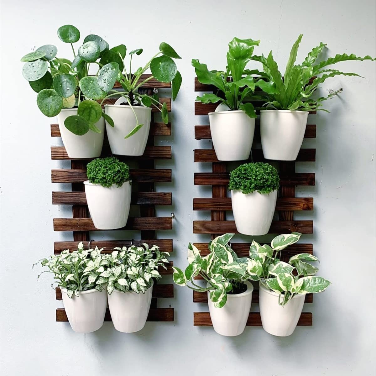 LalaGreen Bundle - 4 Inch, 10 Pack Self Watering White Plastic Pot + 2 Pack Wooden Plant Holder Wooden Hanging Planter, Plant Stand, Air Plant Succulent Holder, Outdoor Vertical Garden