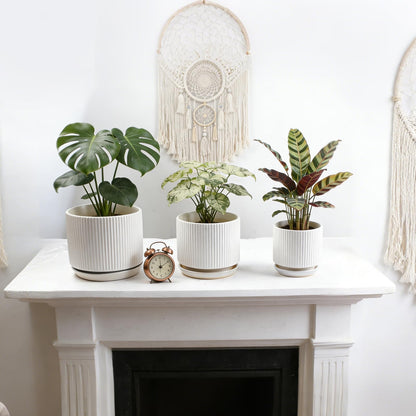 Ceramic-Flower-Pots-Sets-with-Saucer, 5/6/8 inch Small Planters for Indoor Plants with Drainage Hole, White Vertical Stripe Plant Pots for Home Decor, Outdoor Garden Pot For Succulent Cactus Herb