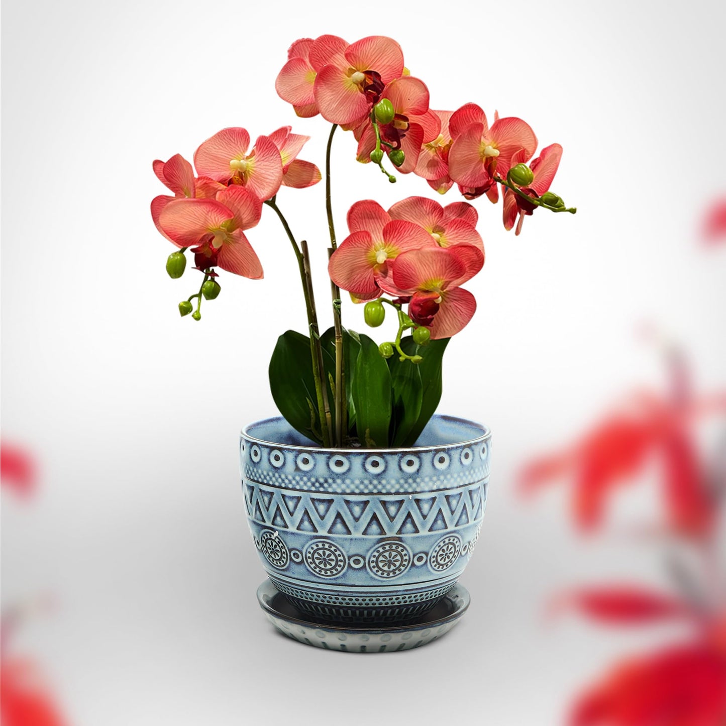 CHAMARKS Ceramic Plant Pots. Flower Pots for Plants. Planter Pots with Drainage Holes and Saucers for Indoor Plants. 5.5 inches Wide, 4.3 inches Deep. Set of 2.