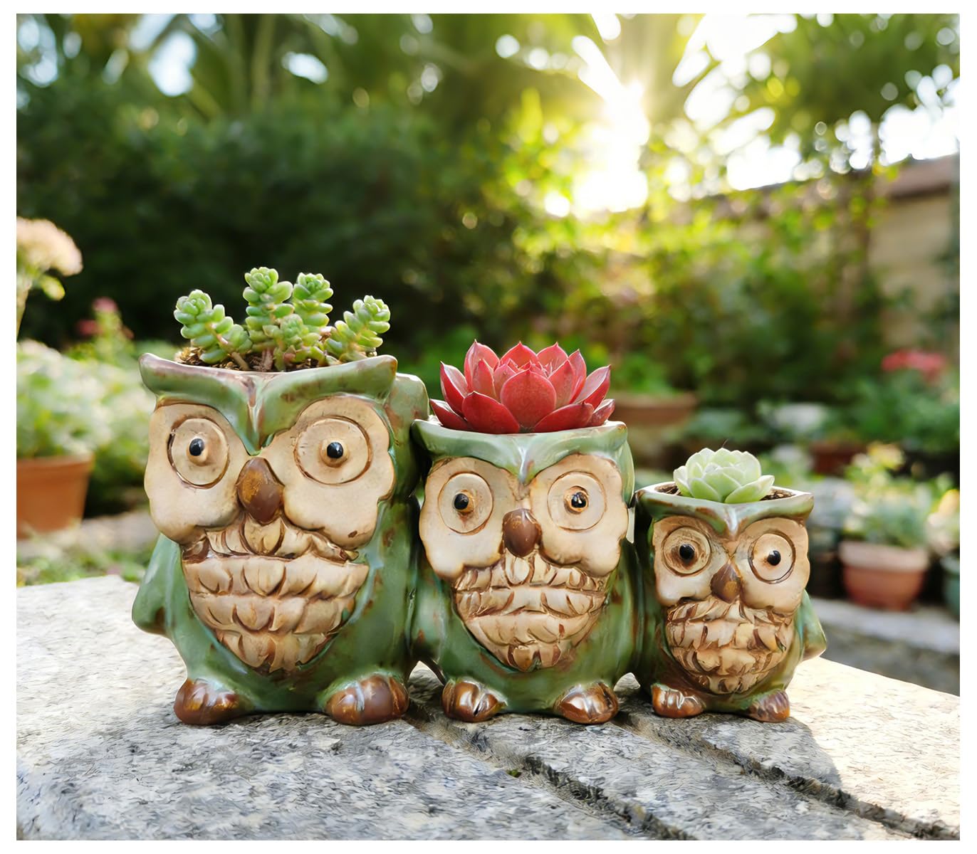 Giafiny Cute Owl Planter, Small Funny Succulent Pots, Unique Decorative Animal Statue Ceramics Plant Pot for Indoor/Outdoor Home Office with Drainage, Owl Gifts for Women Mother Teacher, Three Owls