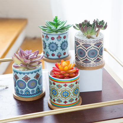 COLOAPT Succulent Plant Pots - 3.1 inch Ceramic Succulent Planter -Cylinder Flower Pots for Cactus with Drainage Hole and Bamboo Tray,6 Pack,Plants not Included