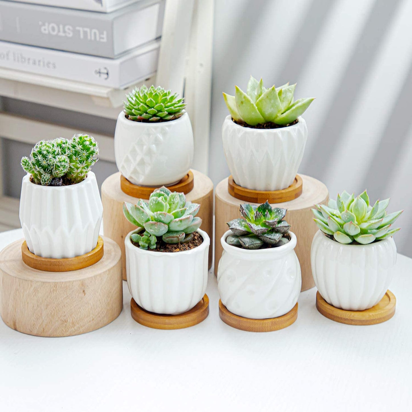 B SEPOR Set of 6 White Simple Porcelain Planters for Small Plant Pots Baby Succulent Cactus with Drainage and Saucer for Home Office Decoration Gift(White Stripes)