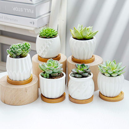 B SEPOR Set of 6 White Simple Porcelain Planters for Small Plant Pots Baby Succulent Cactus with Drainage and Saucer for Home Office Decoration Gift(White Stripes)