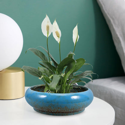 GANAZONO Large Garden Bowl Planter Water Plant Pot Water Lily Pots Hydroponic Planter Bonsai Pots Garden Decorative Cactus Stand Flower Container Daffodil Pot Bowl (Random Color)