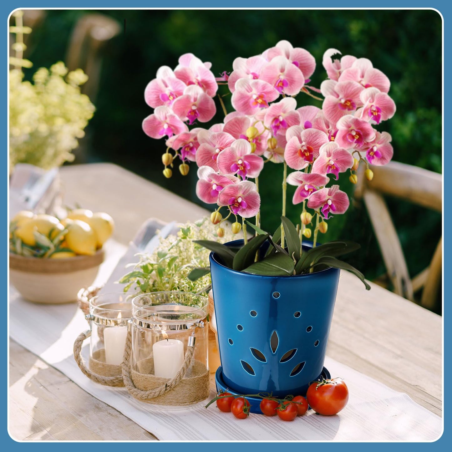 Suclain 2 Pack Orchid Pots with Holes Ceramic Orchid Planters with Drainage Holes and Tray for Root Health Repotting New Plants Air Circulation Indoor/Outdoor Flower Pots(6.5 Inch,Blue)