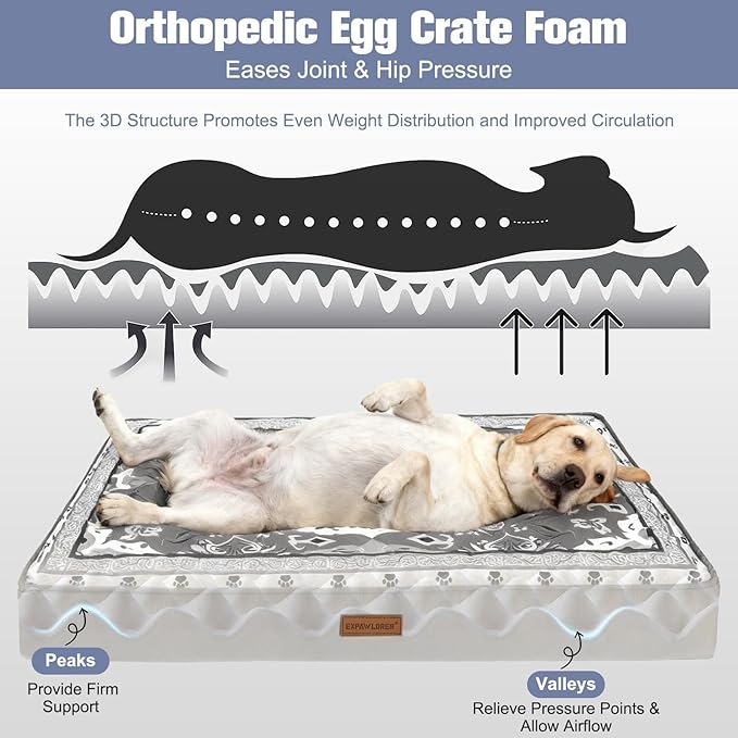 EXPAWLORER Large Dog Bed Small Medium Size Dogs, Waterproof Orthopedic Pet Mattress with Removable Washable Cover Non-Slip Bottom Zipper & Carry Handles, Thick Egg Crate Foam Beds Sofa 36x27x3in Grey