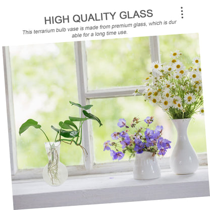 ifundom 2pcs Hydroponic Glass Bulb Vases for Indoor Plants Self-Watering Feature Terrarium Decorative Flower Pots for Home Decor