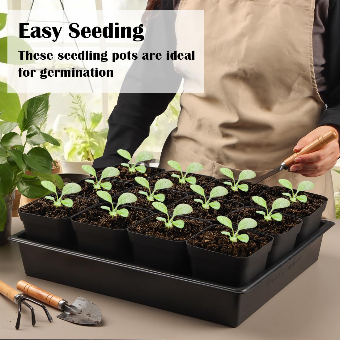 RooTrimmer 3.15 inch (8CM) Square Nursery Pots 100 pcs, Sturdy Seedlings Trays 5 Pcs, Seeds Starter Germination Tray, Microgreening Planter Nursery Propagation 5 Sets