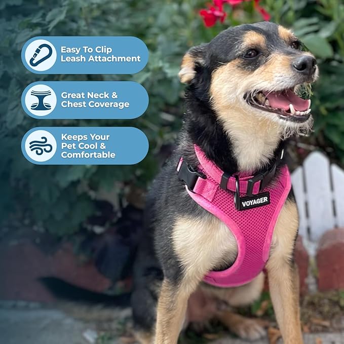 Voyager Step-in Pet Harness - All Weather Mesh, Adjustable Step in Harness for Cats and Dogs by Best Pet Supplies - Fuchsia, S