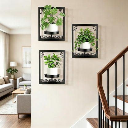 WGFKVAS Wall Plant Holder Set of 3, Picture Frame Plant Holder, Rustproof Holder Metal Modern Style Home Gardening Wall Decor for Living Room Bedroom, Entryway, Black