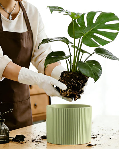 Swkien Ceramic Plant Pots, 8.1 + 6 Inch Planters for Indoor Plants, Modern Flower Pot for Plant with Drainage, Medium Cylinder Flower Pots for Indoor/Outdoor, House Plants, Matte Green