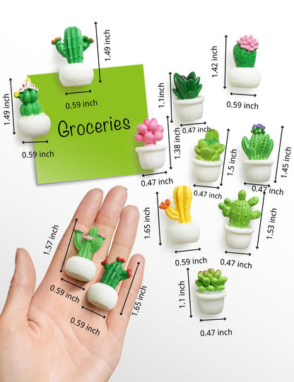 Zreal Cactus Fridge Magnets Cute Refrigerator Magnets 3D Plant Decorative Magnets for Office Kitchen Locker,12 PCS