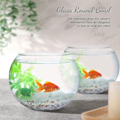 Clear Bowl Glass Vase Bubble Glass Round Vase Clear Bubble Planter Terrarium Fish Bowl Vase for Wedding Event Home Decor Flowers Fish(6 Pcs,4.5 x 3.7 x 5.9 Inch)