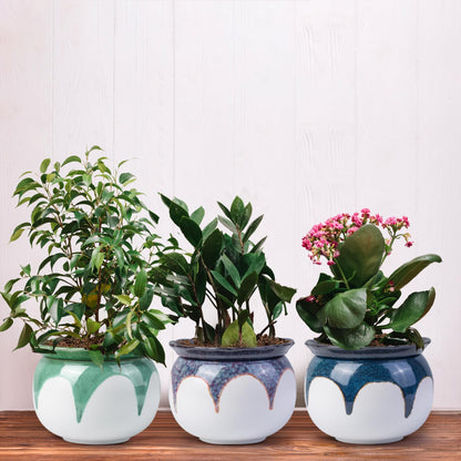 LITUDISO African Violet Pots, 6 Inch Self Watering Pots for Indoor Plants, Easy Plant Self Watering Planter, Ceramic Plant Pot with Absorbent Inner Pot for Flowers - Gradient Blue (No Plants)