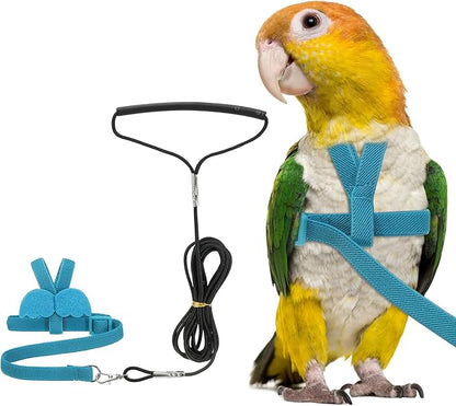 Bird Harness Leash, Adjustable Pet Parrot Bird Harness and Leash Lightweight Anti-Bite Flight Training Rope with Cute Wing, (Blue, L), Intended for Parrots/Pigeons/Budgies