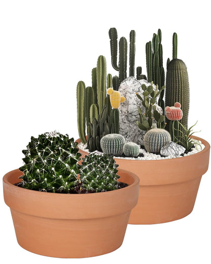 vensovo 8 Inch Terracotta Shallow Succulent Pot - 2 Pack Large Terra Cotta Clay Pot, Cacuts Indoor and Outdoor Planters with Drainage Hole