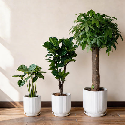 Deep Dream 8 Inch Ceramic Pots for Plants, Heavy Plant Pot for Indoor Outdoor Plants, Large Plant Pot with Drainage Hole and Saucer, Modern Tall Flower Pot, Gifts for Plant Lovers, White