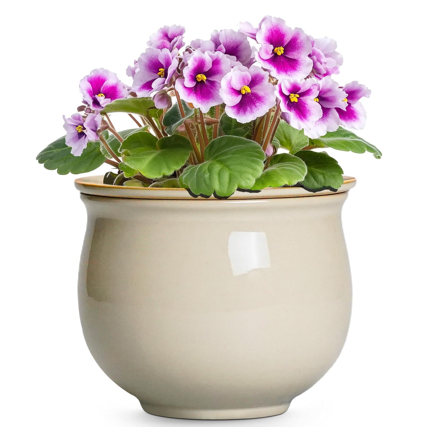 Teagas 6 Inch Self Watering Pots for Indoor Plants, Ceramic African Violet Pots with Absorbent Inner Pot, Easy Self Watering Planter, Round Ceramic Flower Pot, Patio Decor, Gardening Gifts, Beige