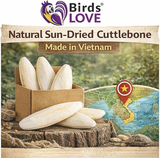 Birds LOVE 5.5-6″ Cuttlebone for Birds – 100% Natural Sun-Dried Calcium & Beak Conditioning Supplement for Parakeets, Budgies, Cockatiels, Finches & Canaries – 2 Pack with Holder – Made in Vietnam
