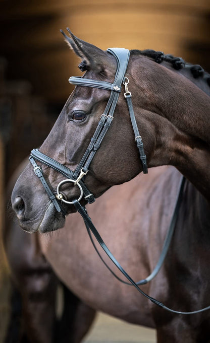 LeMieux Kudos Work Bridle - Black - Full