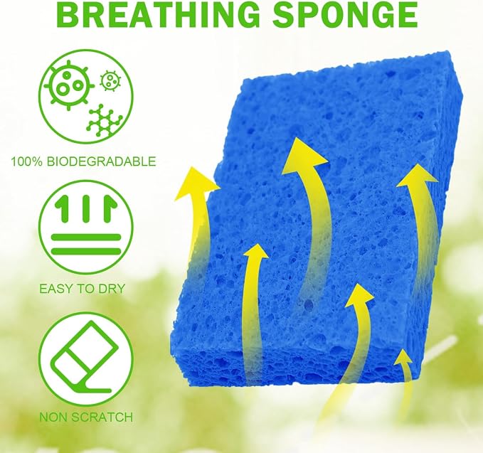 YoleShy Sponge Kitchen Natural Cellulose Sponges 10 Pack Compressed Sponges for Cleaning Reusable Dish Sponge Kitchen Non-Scratch DIY