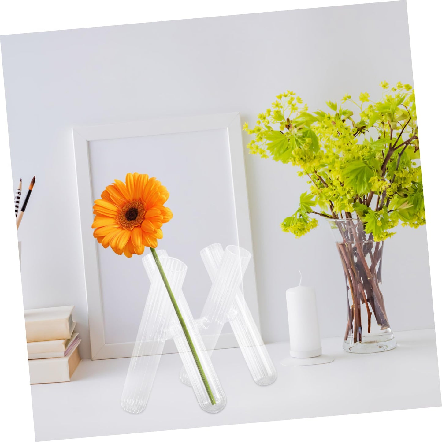 Yardwe Clear Glass Test Tube Vases for Hydroponic Plants Decorative Terrarium Tube Holders for Flower Display Desk Windowsill Supports Plant Growth and Home Decor