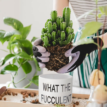 Suclain 6 Set Succulent Flower Cactus Planter Gifts Plant Cactus Flower Ceramic Funny Planter Pots Succulent Planters with Drainage Hole and Bamboo Saucers for Women Men Party Favor