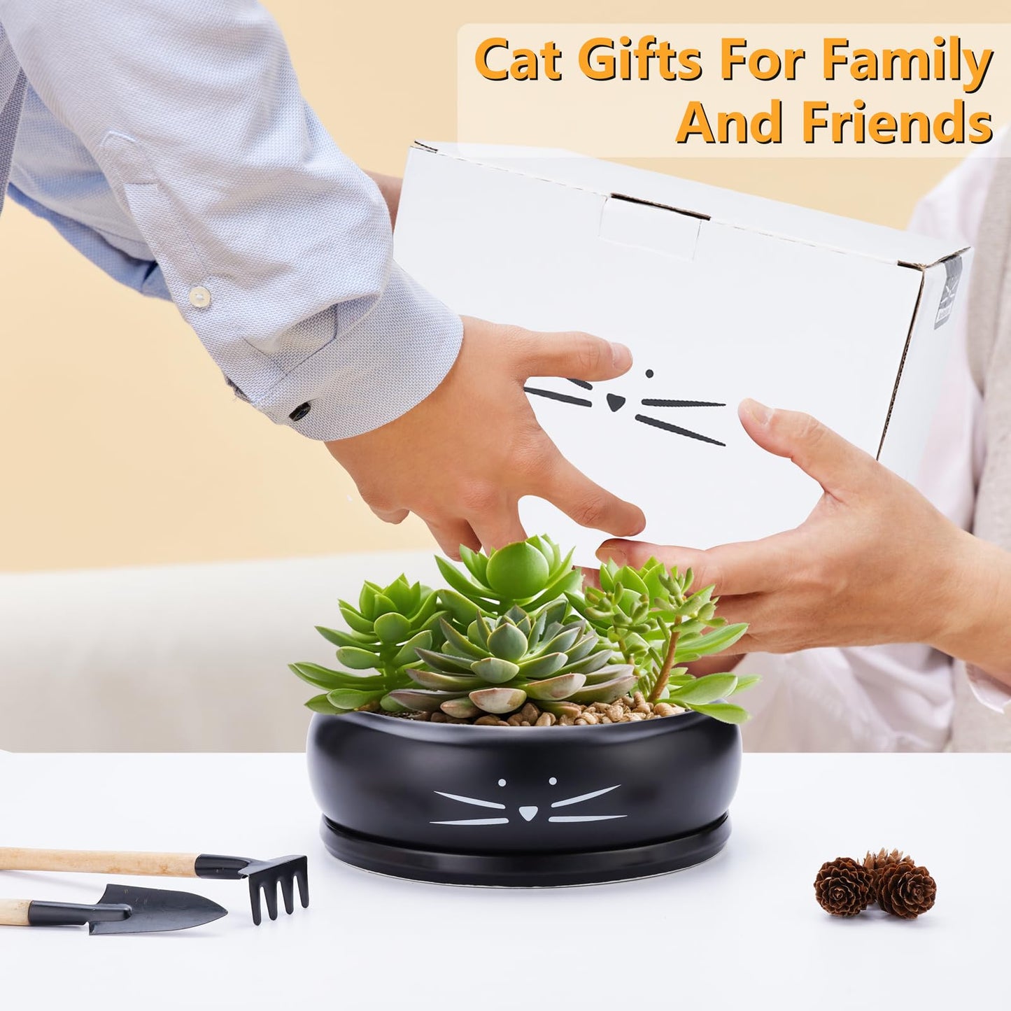 Koolkatkoo 8 Inch Cat Ceramic Succulent Planter Pot with Drainage Hole and Tray Flower Pot for Indoor and Outdoor Plants Round Shallow Planter Gifts for Cat Lovers Black
