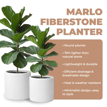 DEPLA LANE Lumero Fiberstone Cylinder Planter (12.0" Pot Opening x 13.8" D x 13.8" H) Smooth Finishes, Lightweight, Durable, UV Resistant, Modern Minimalist Decor, Indoor Outdoor Plant Pot (L, White)
