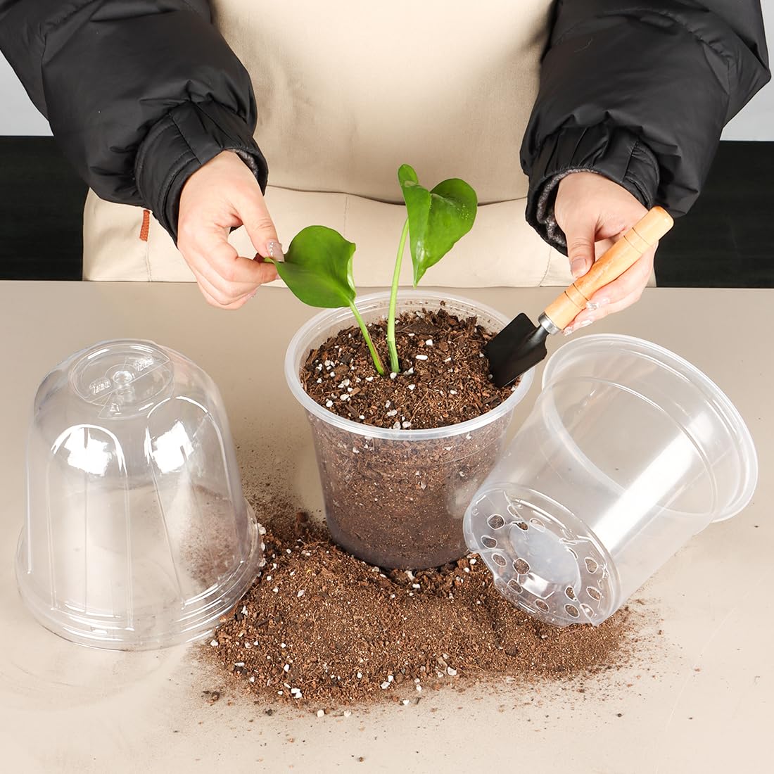 RooTrimmer 6 Inch Clear Nursery Pots with Humidity Dome, 15 Pack Durable Seed Starting Pot with Drainage Holes, Transparent Plastic Plant Seedling Pots for Indoor Gardening Plants