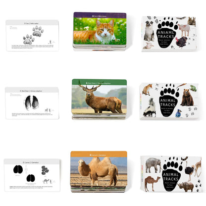 MEROCO Safari Animal Tracks Card Game, Farm Animal Flash Cards, Matching Game - Kids Science Learning Educational Toys for Homeschool, Preschool, Autism - 3 Years Old & Up