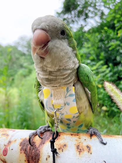 Bird Diaper Harness Flight Suit Clothes, Parrot Flight Suit with Leash, Bird Flying Clothes with Rope and Handle for Outdoor Activities Training (Yellow with Leash,Medium)