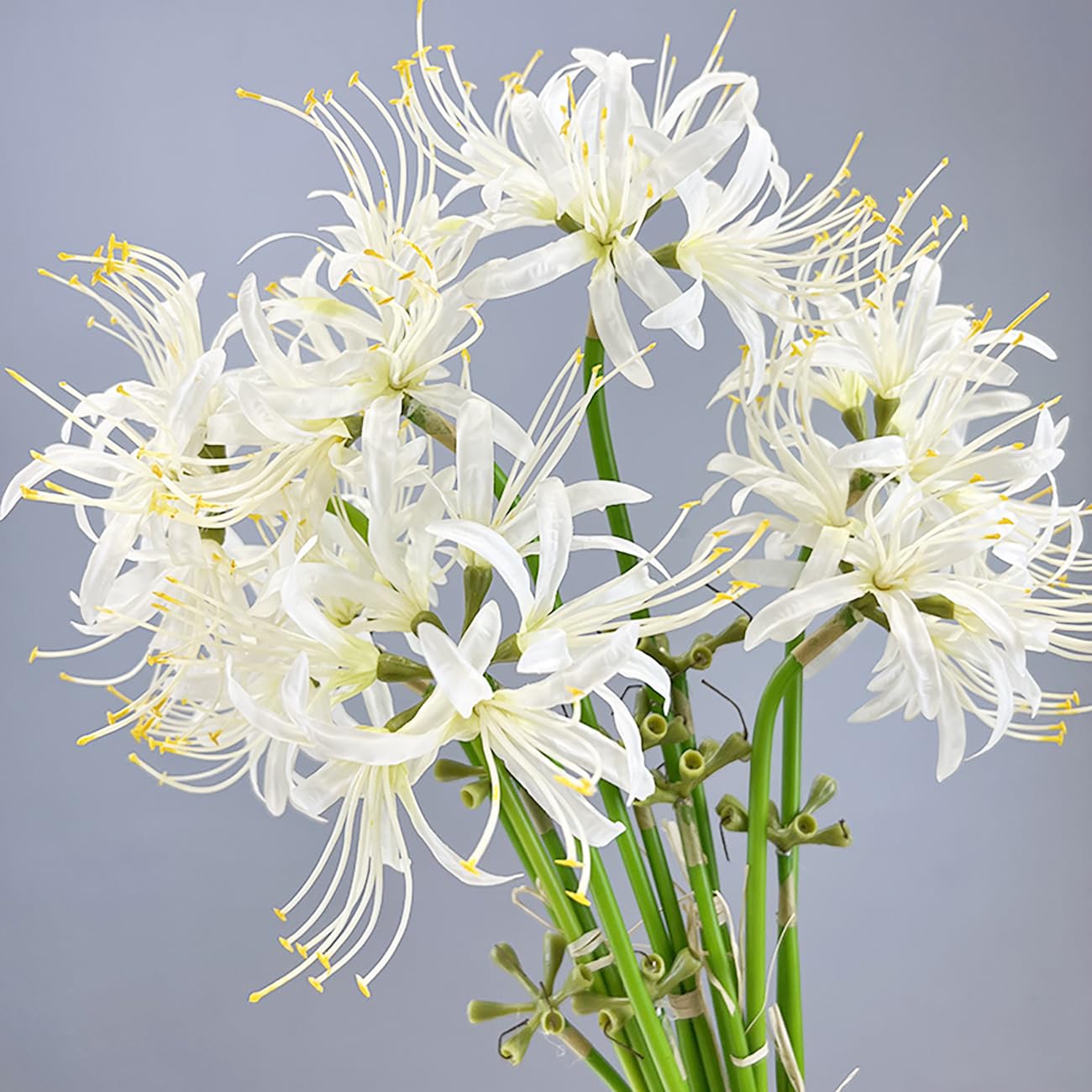 Qingriver 6 Sets 67 CM Lycoris Radiata Artificial Spider Lily Flowers Stonegarlic Clusteramaryllis for Home Garden Wedding Party Decor (Pure White)