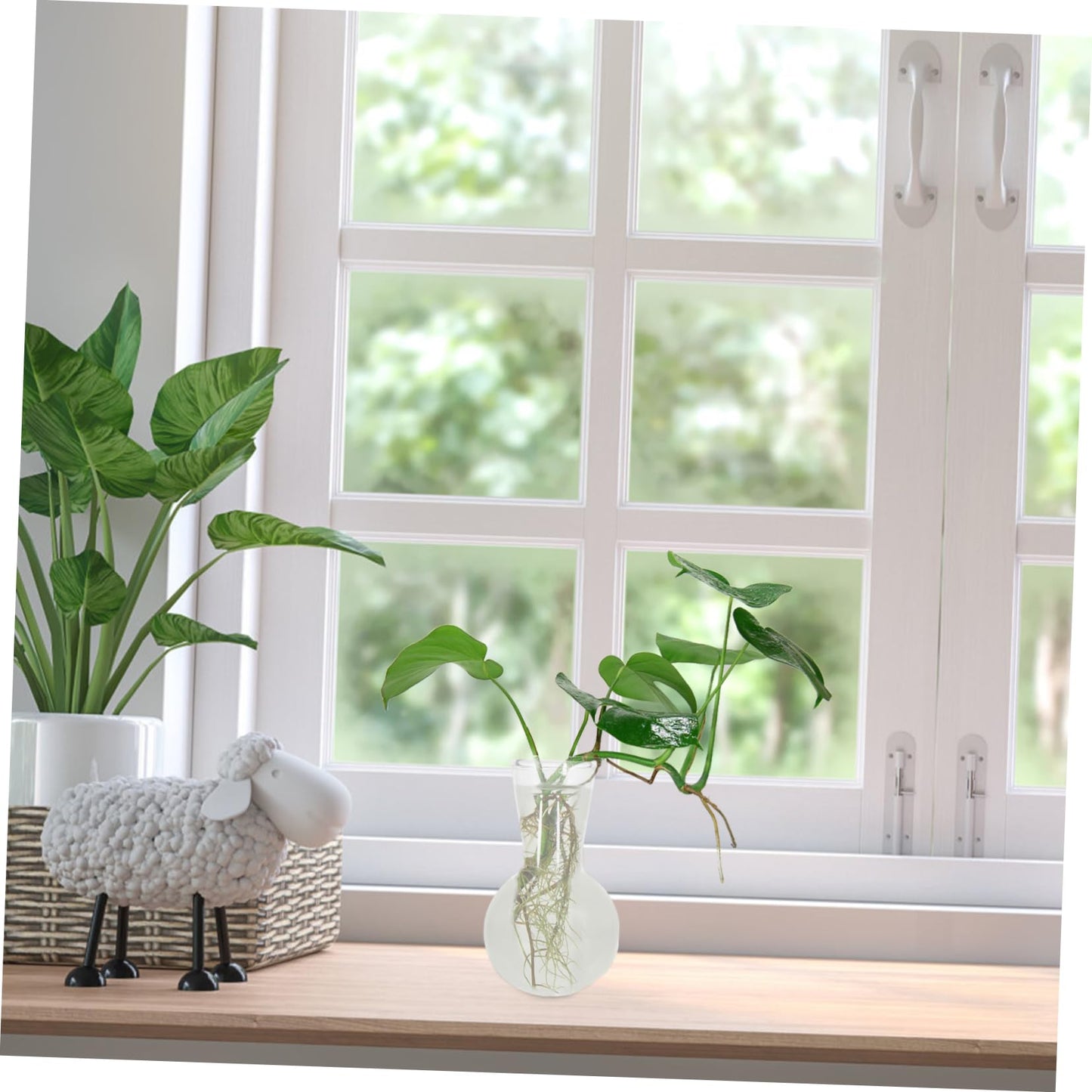ORFOFE 2pcs Hydroponic Glass Vase Flower Terrarium Plant Terrarium for Home Office Dec