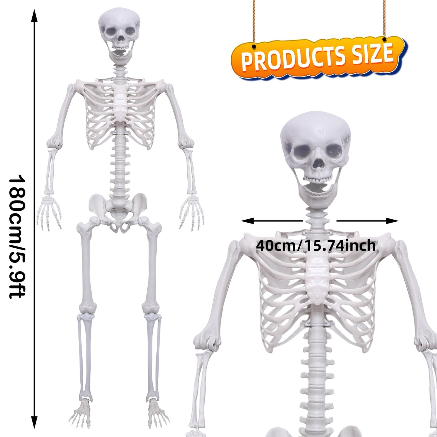 5.9Ft Halloween Life Size Skeleton Posable Skeleton Full Body Plastic Human with Adjustable Joints for Outdoor Indoor Halloween Decoration