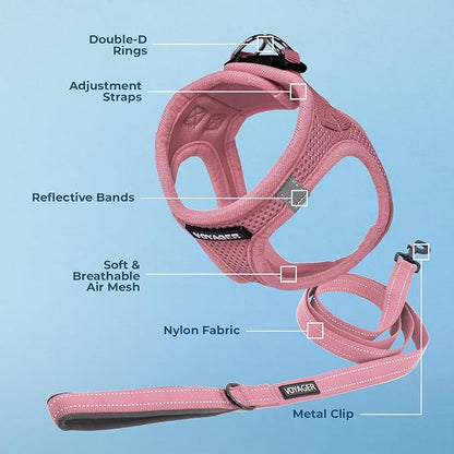 Best Pet Supplies Voyager Step-in Air All Weather Mesh Harness and Reflective Dog 5ft Leash Combo with Neoprene Handle, for Small, Medium and Large Breed Puppies - Pink, XXX-Small