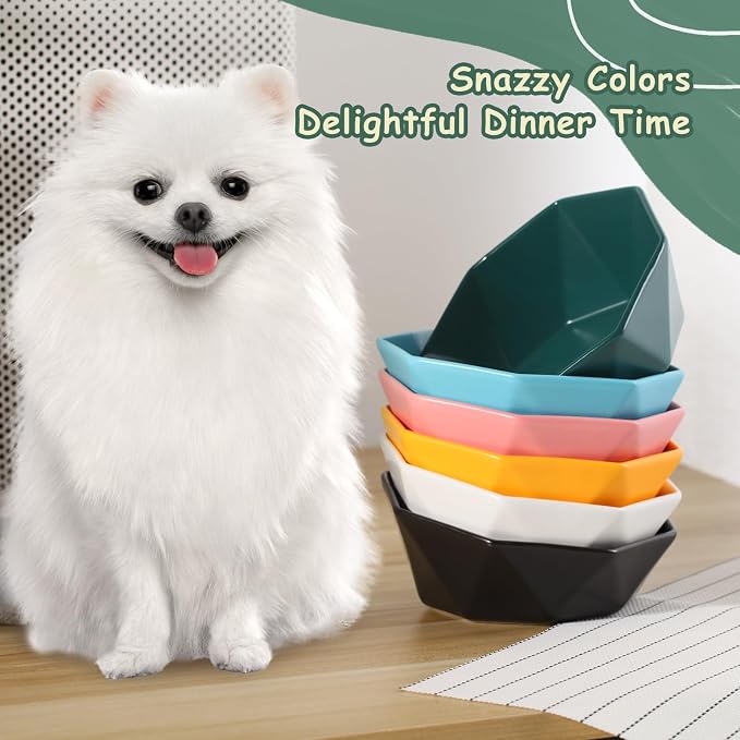 Green with Stand Ceramic Tilted Elevated Raised Pet Bowl with Bamboo Stand for Cats and Dogs No Spill Pet Food Water Feeder