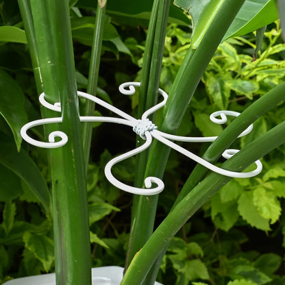 YOHSNOR 5PCS Monstera Plant Support Hook - 5.5x5.5 inch Premium Indoor Stem Stabilizer for Monstera & Fishbone Cactus, Durable,Easy Installation, Gentle Protection for Healthy Plant Growth