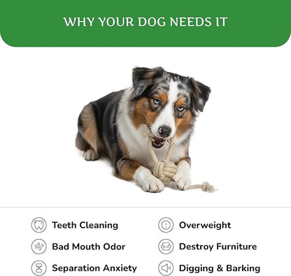 Natural Hemp Dog Rope Toy, Durable Chew and Tug Toy for Medium and Large Dogs, Biodegradable Dental Cleaning Pet Toy (Knots Ball)