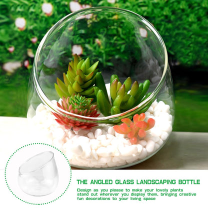 LNQ LUNIQI Glass Slant Cut Bowl Vase Clear Slanted Globe Terrarium Flower Vase Planter Table Centerpiece for Succulents, Cacti, Moss