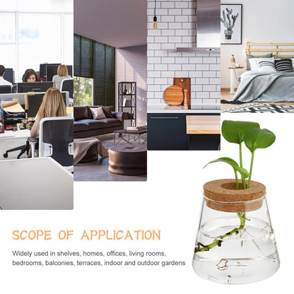 NOLITOY 2pcs Desktop Glass for Hydroponics Stylish Water Vase for Decor Glass Terrarium for Plant Propagation