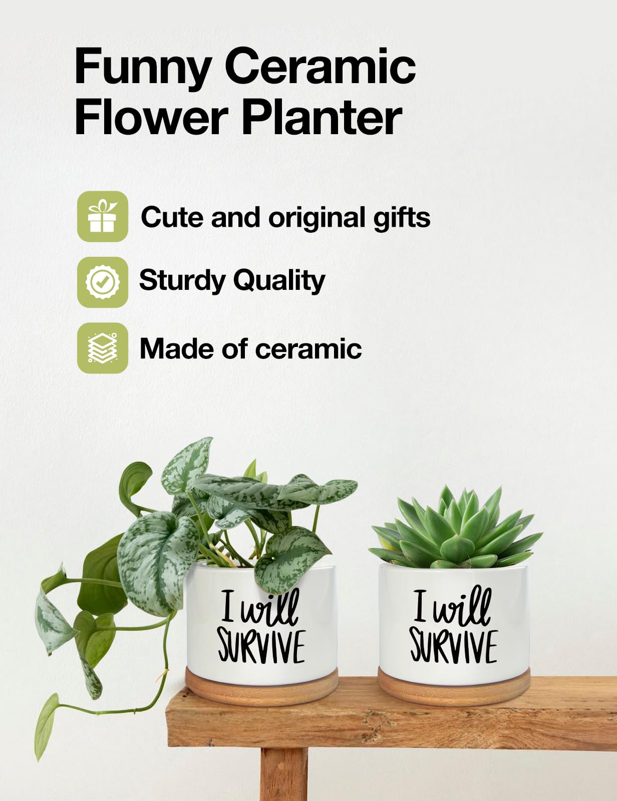 WHING 3.5 Inch Mini Succulent Planter Pot, I Will Survive Funny Engraved White Ceramic Cactus Pot with Bamboo Tray, Indoor Flower Plant Pots for Home Office Windowsill Decor Gift, Plant Not Included