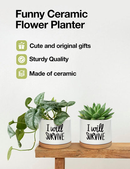 WHING 3.5 Inch Mini Succulent Planter Pot, I Will Survive Funny Engraved White Ceramic Cactus Pot with Bamboo Tray, Indoor Flower Plant Pots for Home Office Windowsill Decor Gift, Plant Not Included
