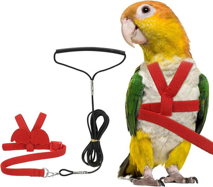 Bird Harness Leash, Adjustable Pet Parrot Bird Harness and Leash Lightweight Anti-Bite Flight Training Rope with Cute Wing, (Red, M), Intended for Parrots/Pigeons/Budgies